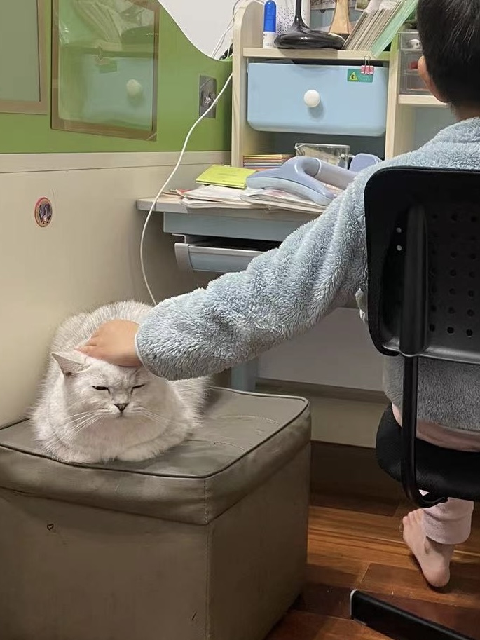 当我两年没回家之后