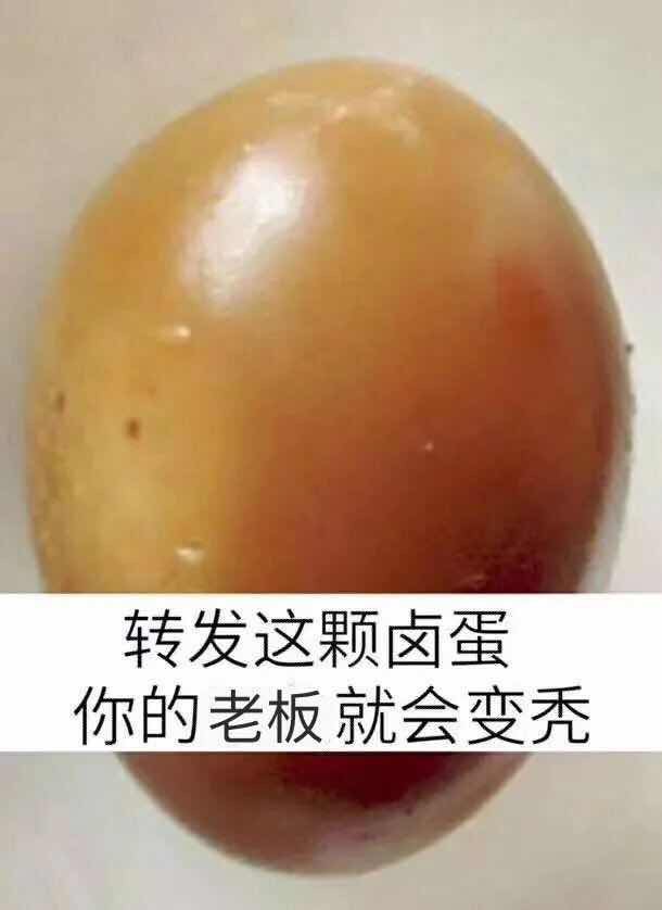 有啥好用的防脱产品嘛