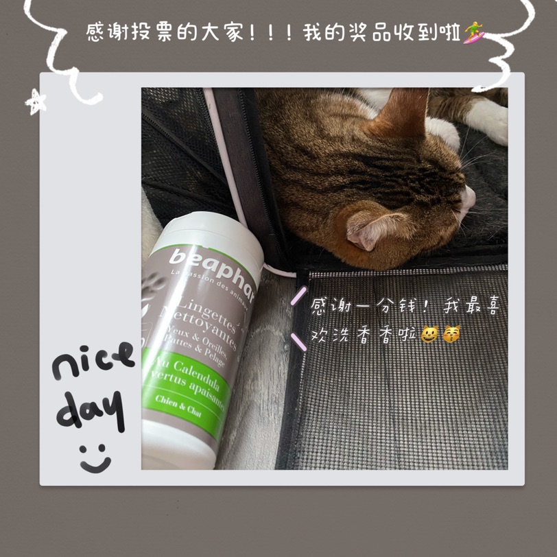 Youyou收到奖品啦！🎁