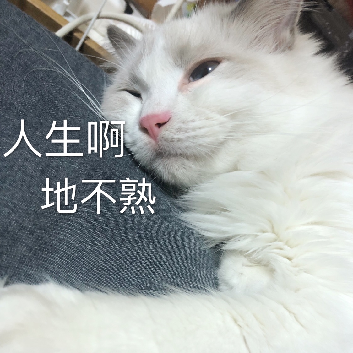 求记录体重的app