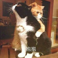 求一个靠谱的转运公司