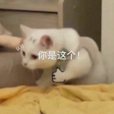 拒绝身材焦虑，你本来就很美