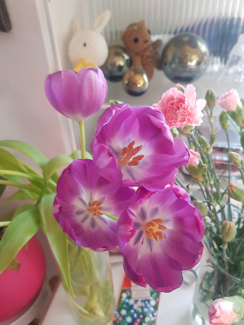健身打卡 day8