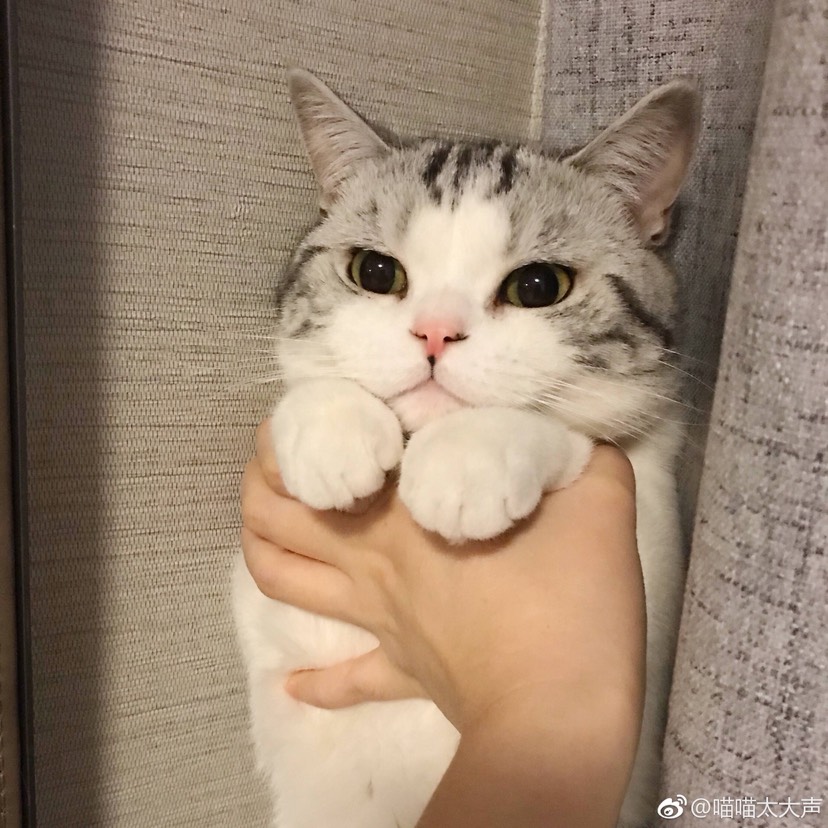 请问在国内转机时是否需要身份证？