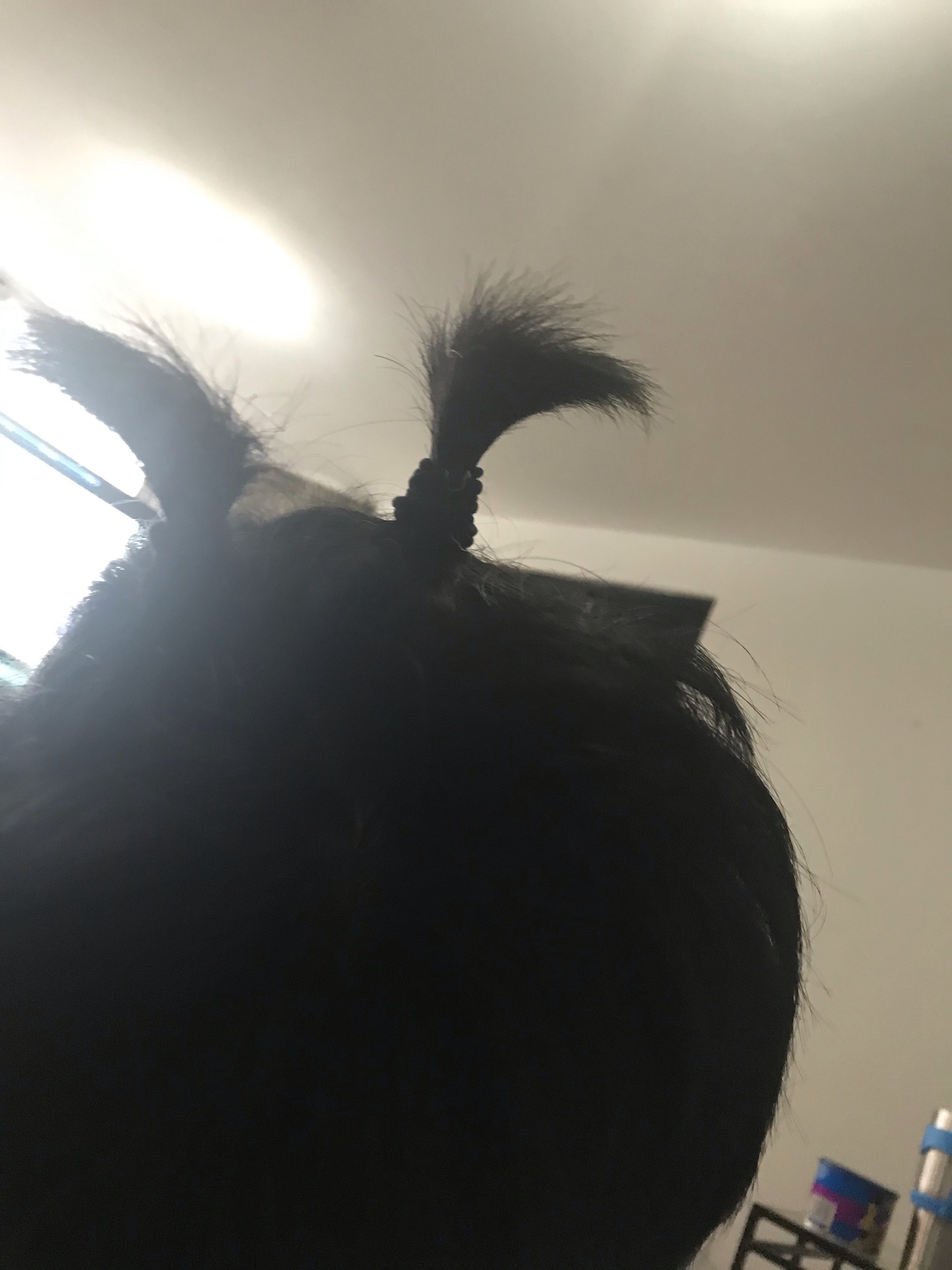 健身环怎么买