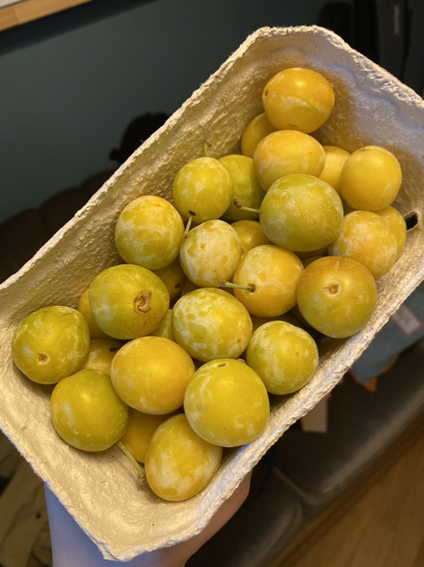 又到了吃Mirabelle的季节