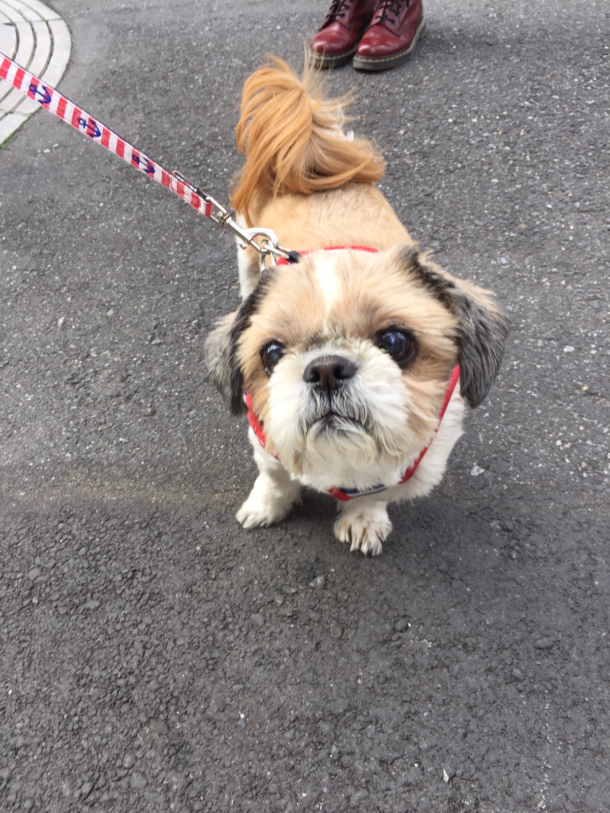 薅羊毛 雅诗兰黛8 99欧得6件套 一分钱ecentime 分享品质生活