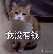 9月到现在800欧的电费……