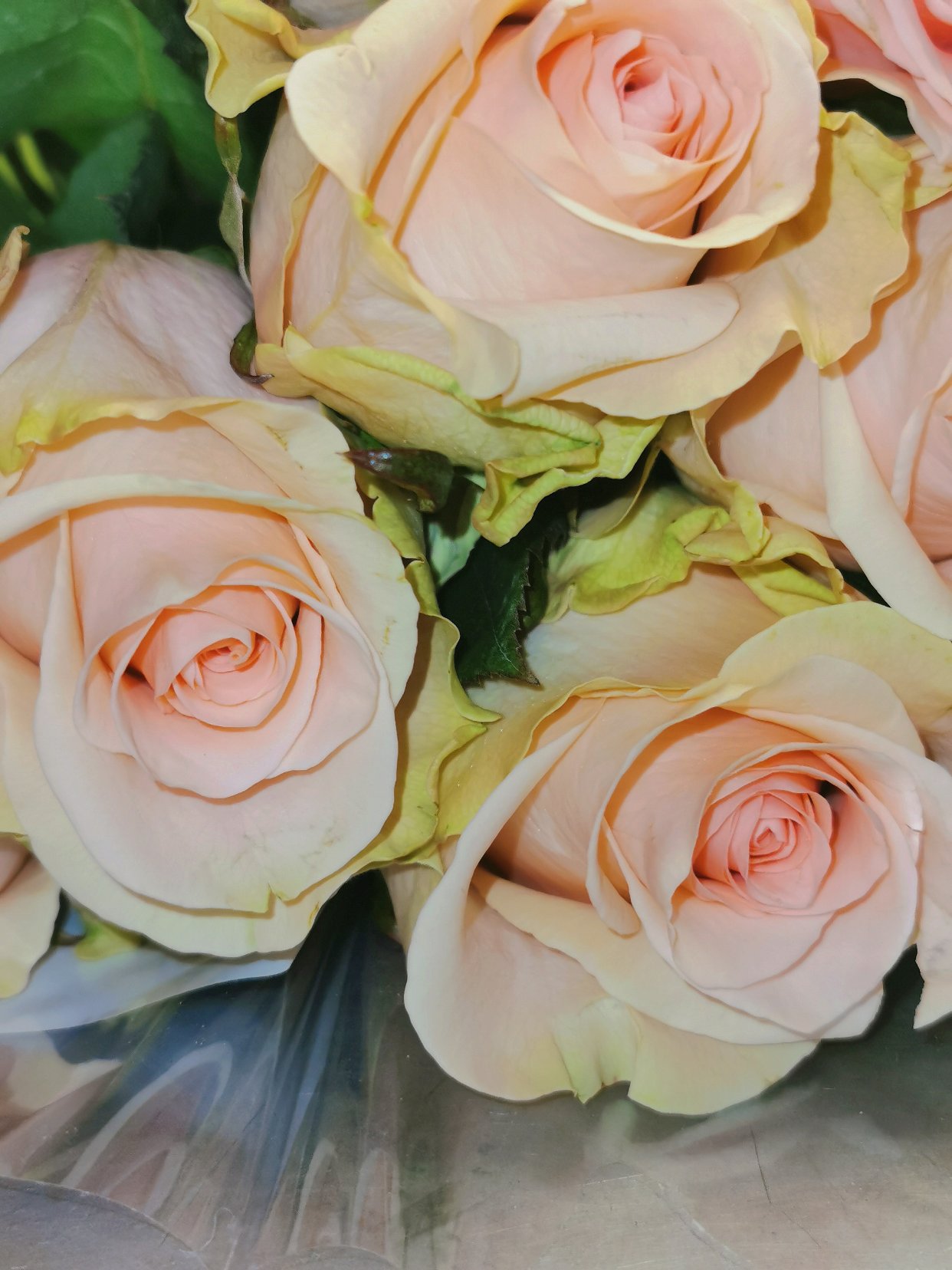 Festa della Mamma💐