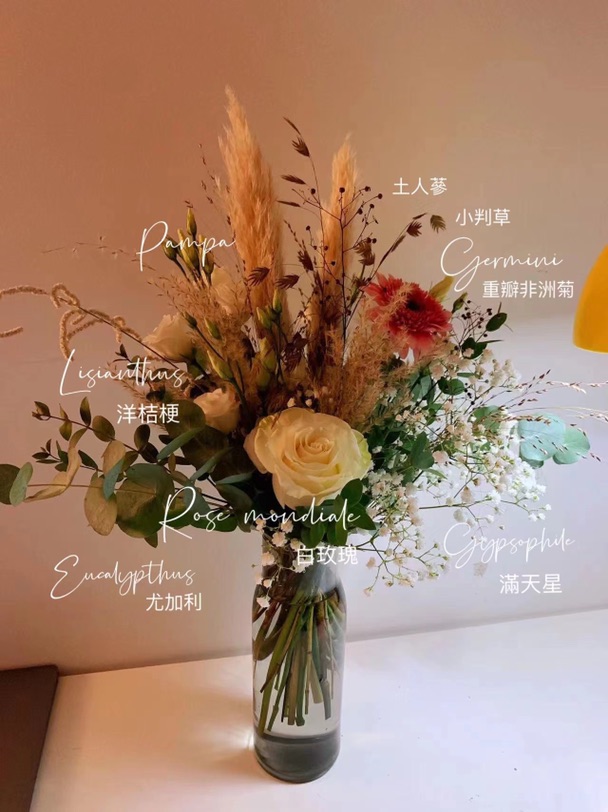 花花就是那么神奇 看到它所有的疲惫都会一扫而光