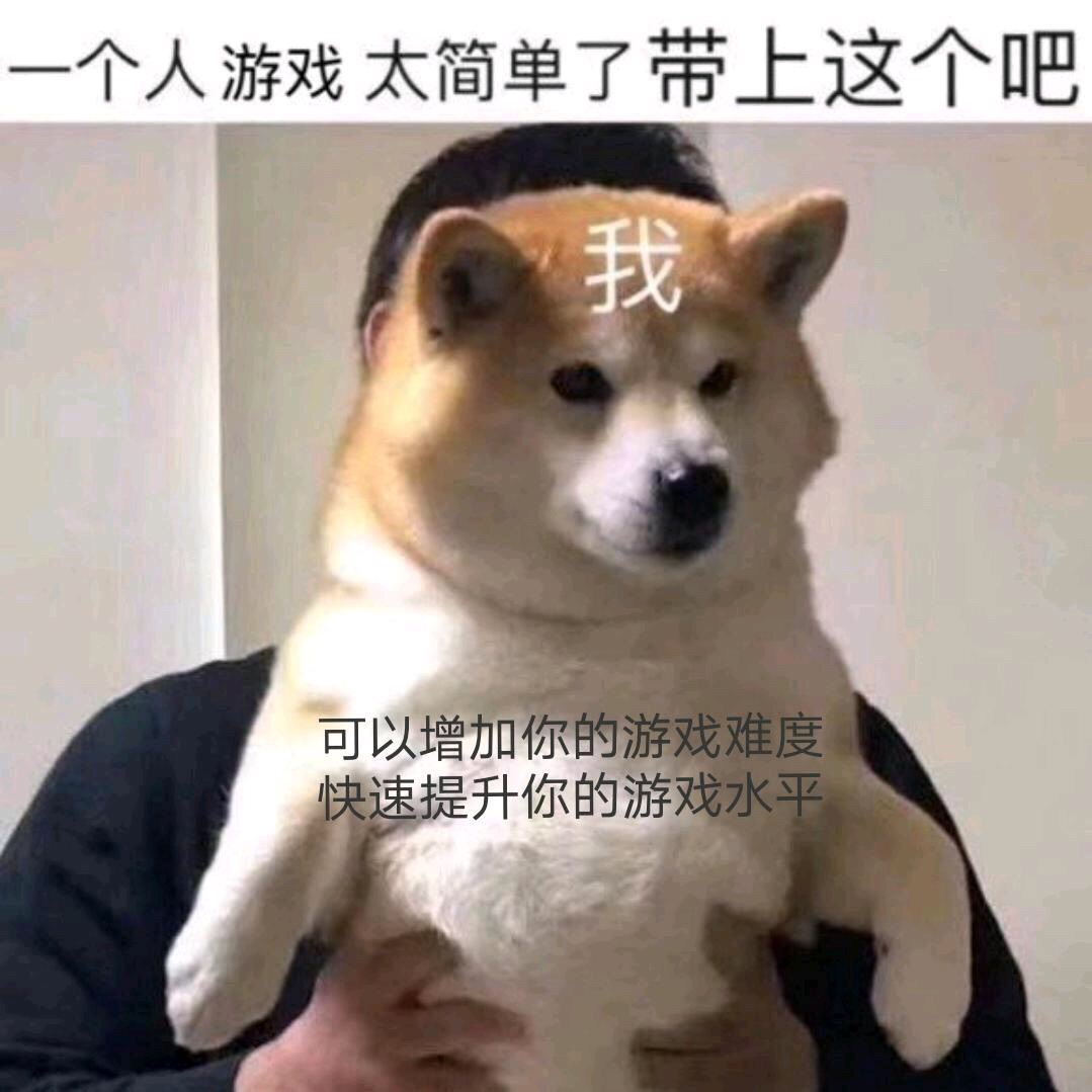 求靠谱海运联系方式