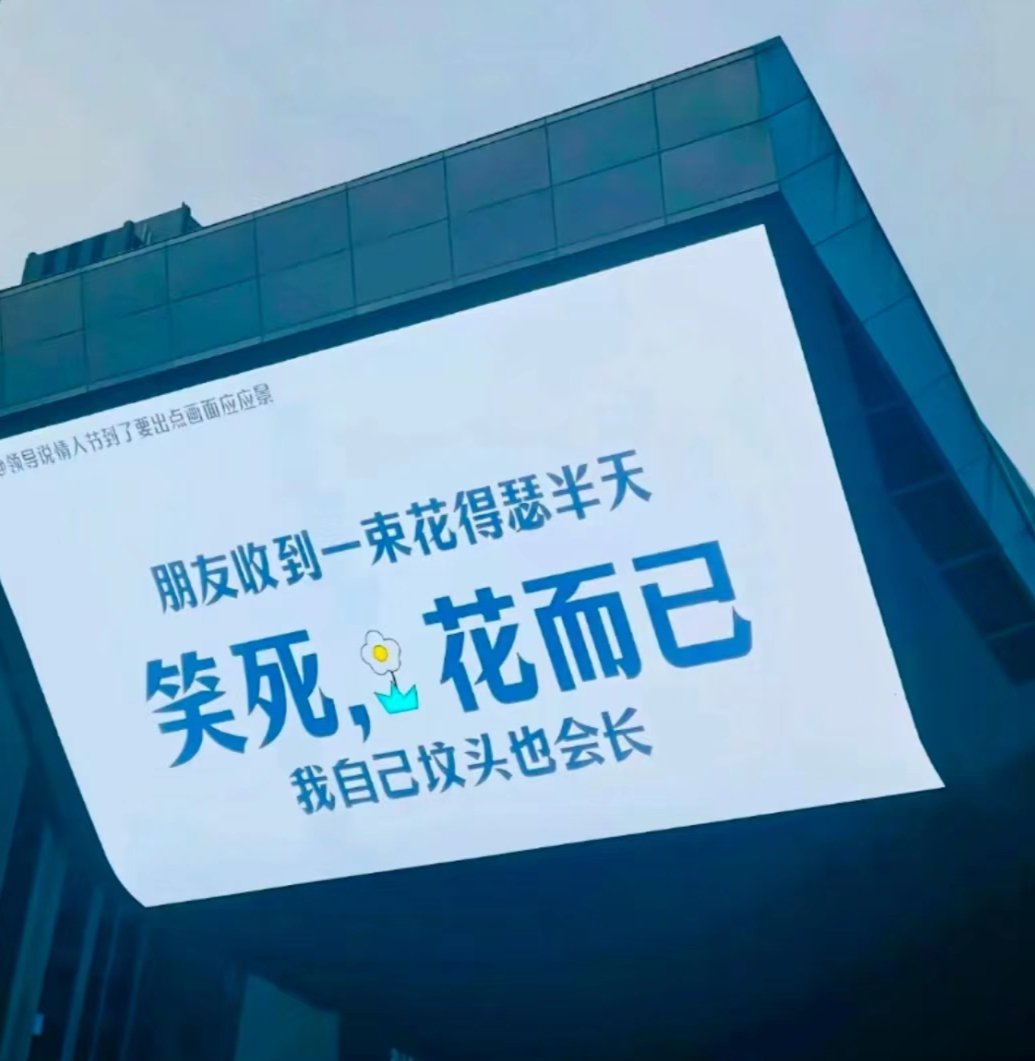 来自单身狗的520hhh