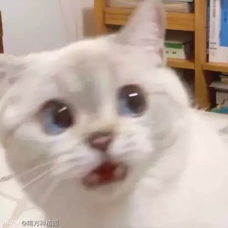 求问集美们 巴黎有卖那种免洗衣物的喷雾吗