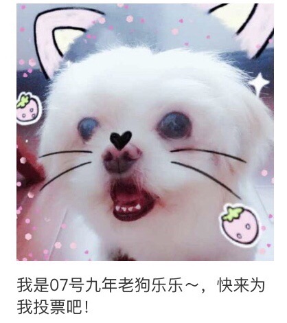 帮俺没啥才艺的狗子来拉票了~