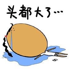 有人在zooplus退换货吗?