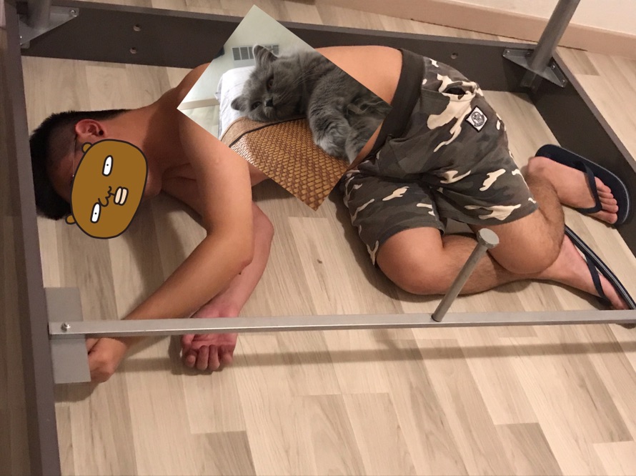 搬家一次,真的真的很累!!