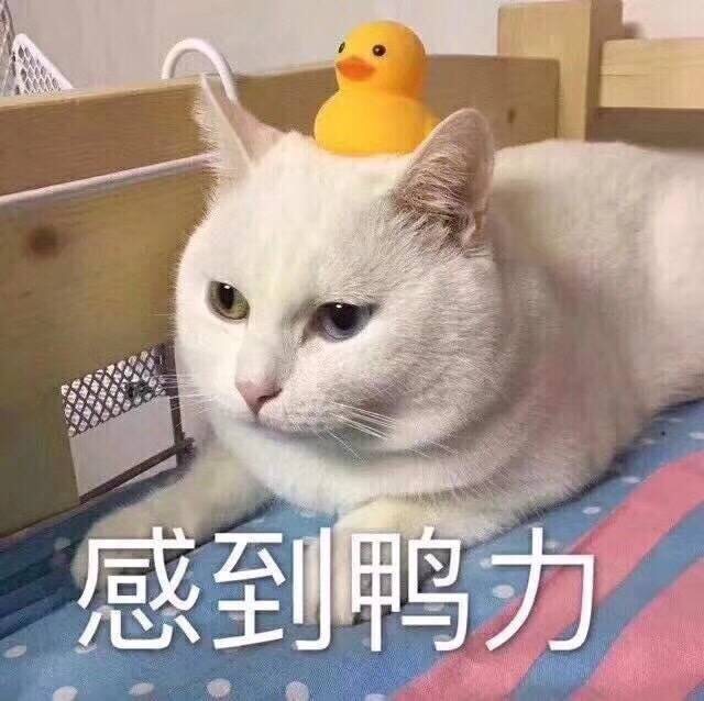 分享姨妈心得