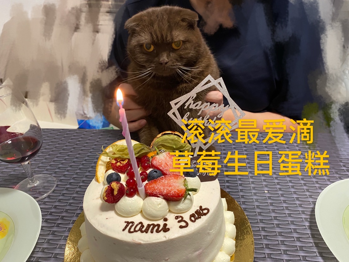 点外卖🥡 我是认真的！