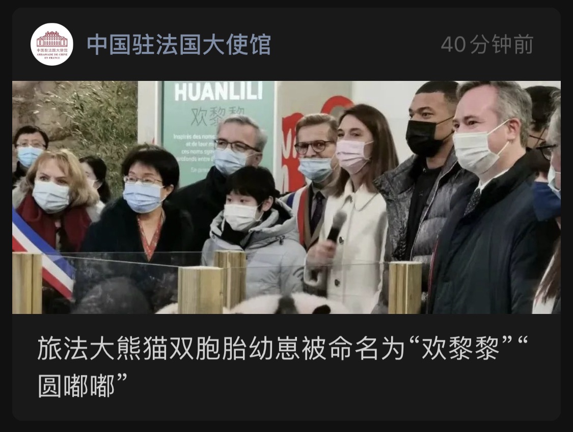 旅法大熊猫的崽崽们确定名字啦