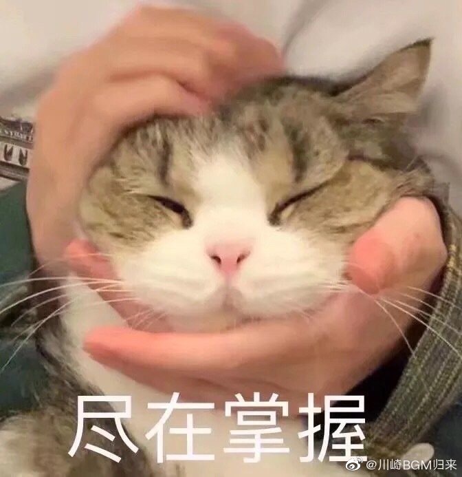 求助关于迪士尼的问题,麻烦大家啦