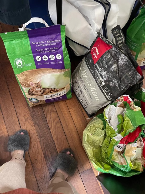 🐱主子不敢懈怠