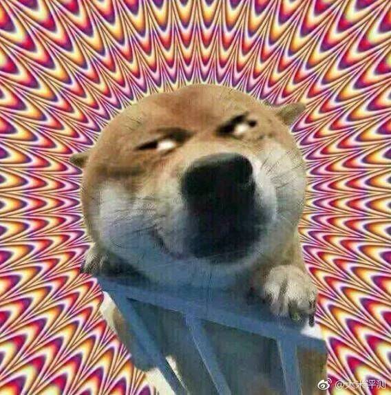 我在问最后一遍 有没有漂亮小姐姐告诉我哪里可以买到tf