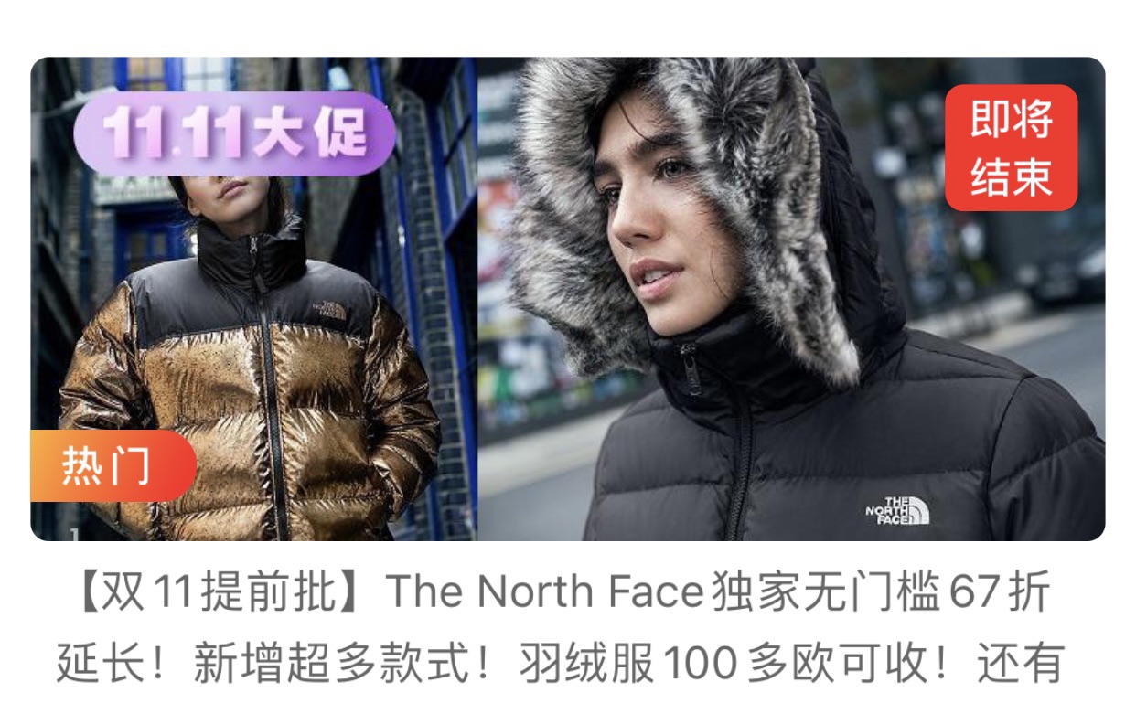 许愿一件tnf 的羽绒服