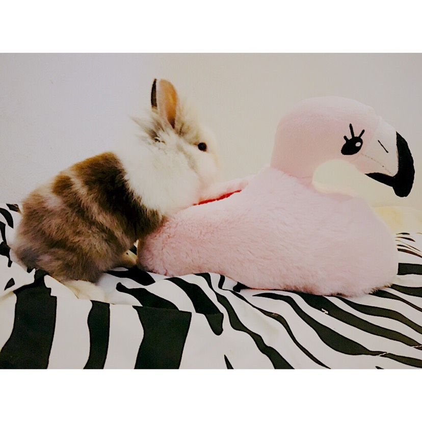 想问小仙女们🧚‍♀️