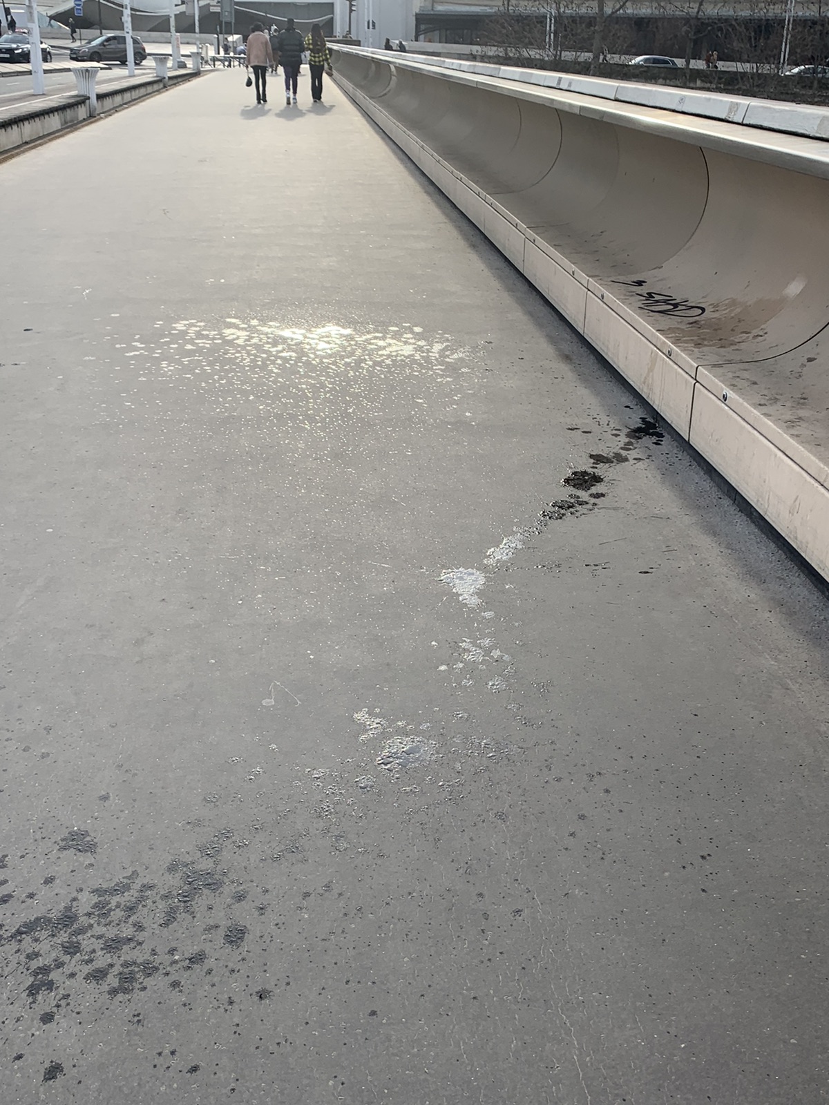 在Gare de Lyon被人泼脸不明液体