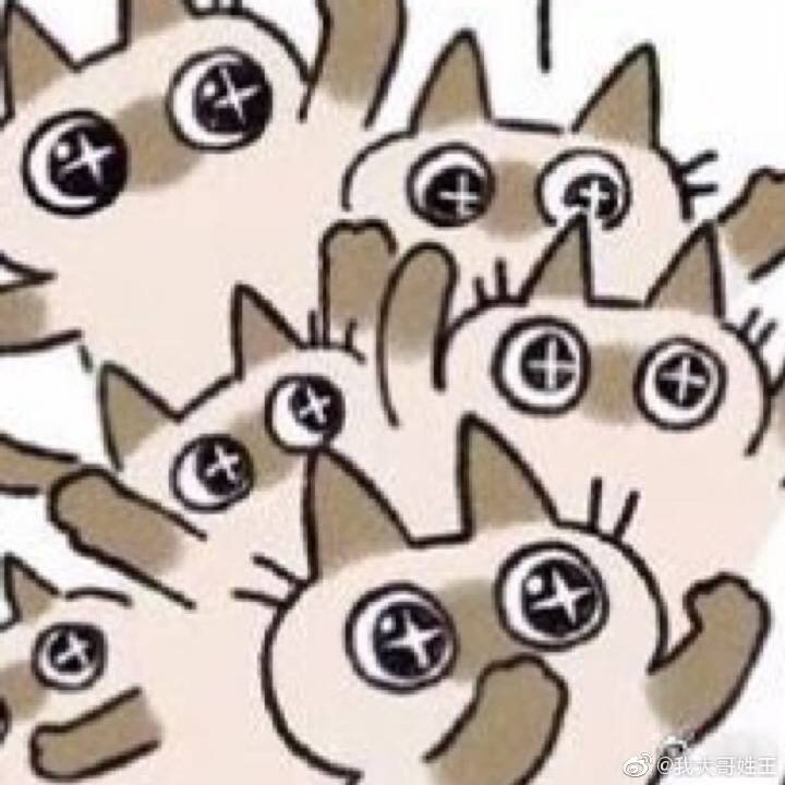 我终于敲出了蛋！！！