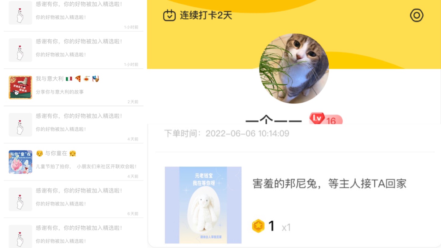 是我是我就是我😌🐰被我带走啦！征名！！！