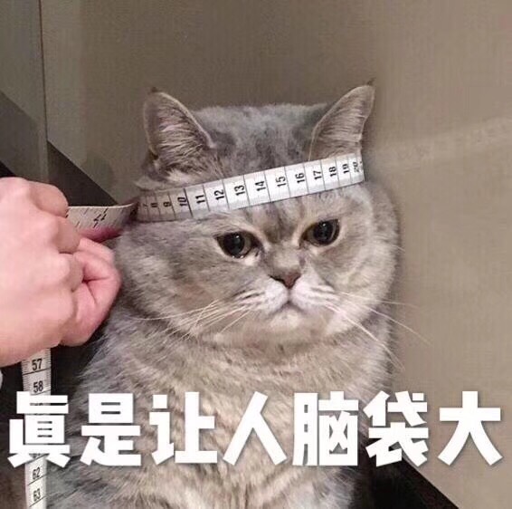 求问sncf罢工问题