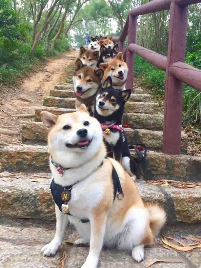 UGC优惠电影卡