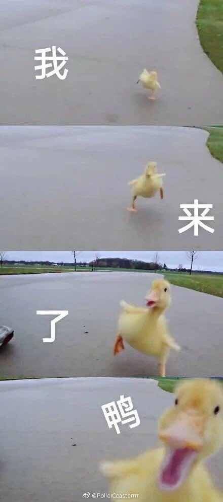 究竟什么需要什么不需要？？？！！！