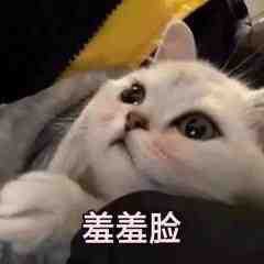 求一个13pro的手机壳