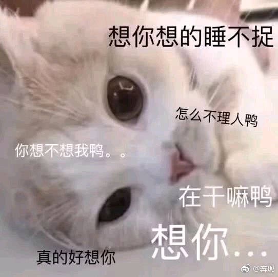 异国恋没有合照...