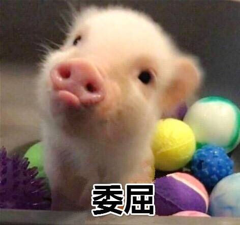 F家到底什么时候打7折！！！