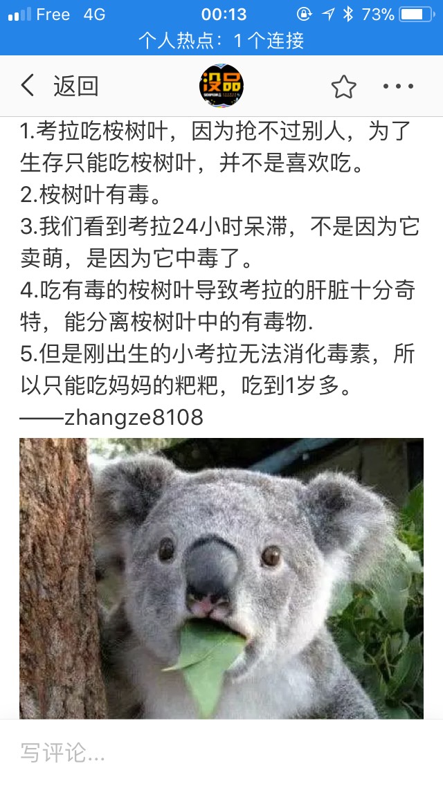 考拉真的很可怜