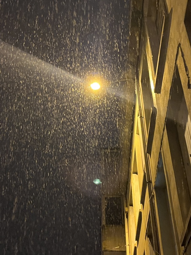 冬天的第一场雪❄️