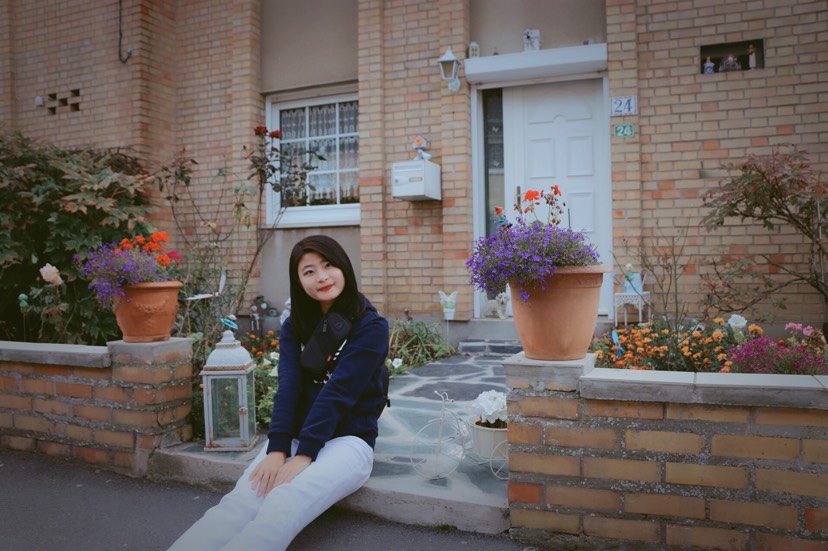 一个值得一去的小镇—Bergues