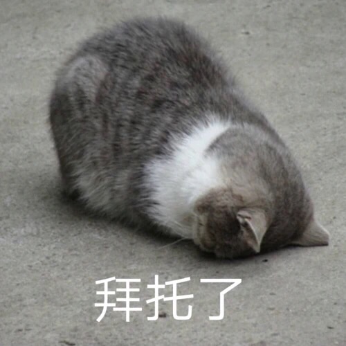 求问哪里可以拍到白底的证件照？