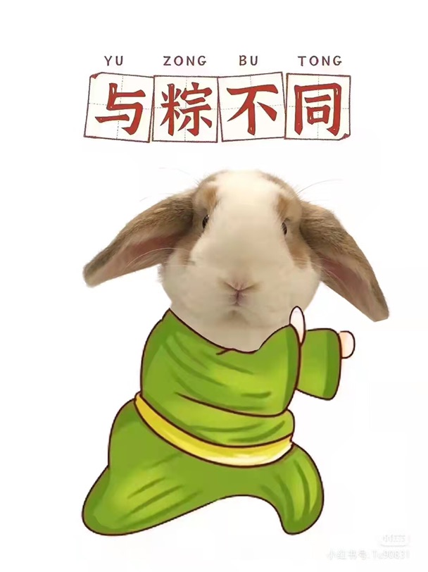 今年的端午节没有一分钱的小游戏了😭