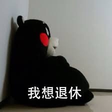 请问哪里能买到中国插头的转换插头啊🔌