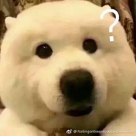 法国能买隐形眼镜吗