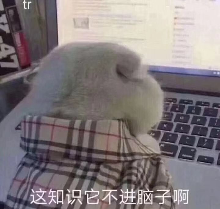 留学行李