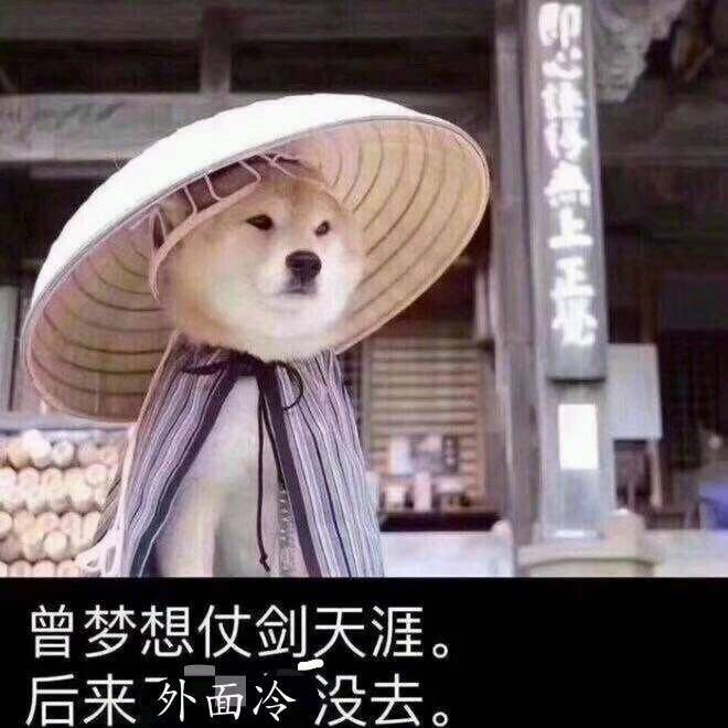 从国内往法国寄东西哪家转运公司比较好呀?