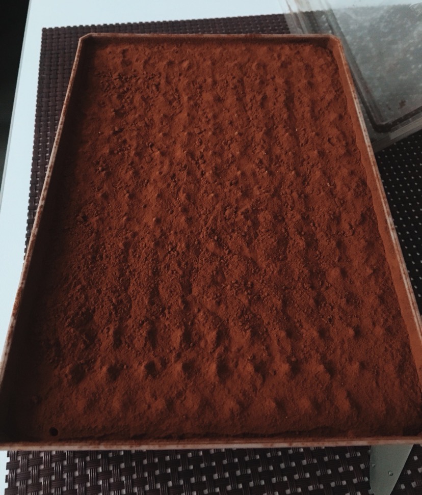 Picard提拉米苏