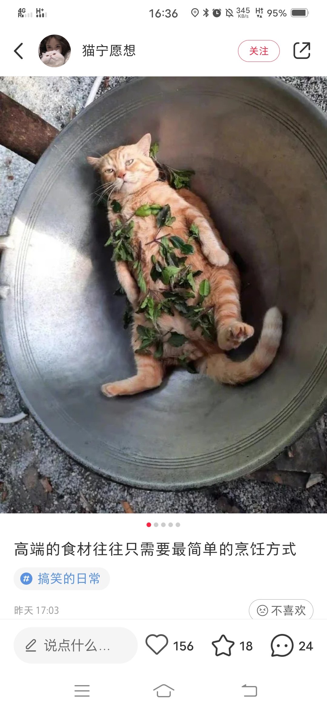分享图片😝