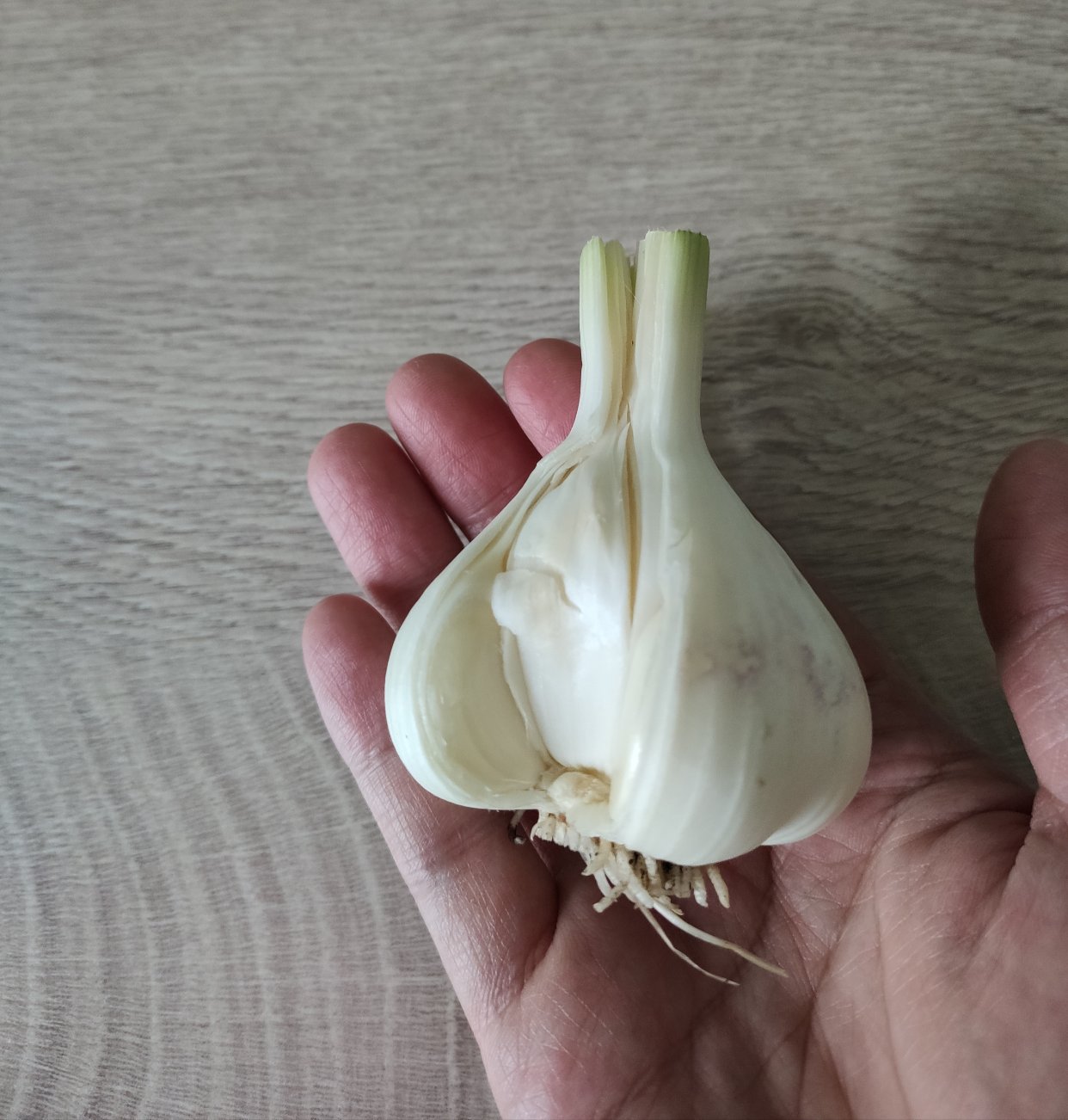 一粒蒜瓣变一颗蒜头