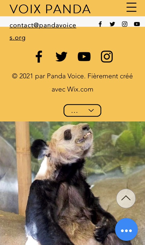 🇺🇸动物园不好好对待国宝大熊猫🐼？